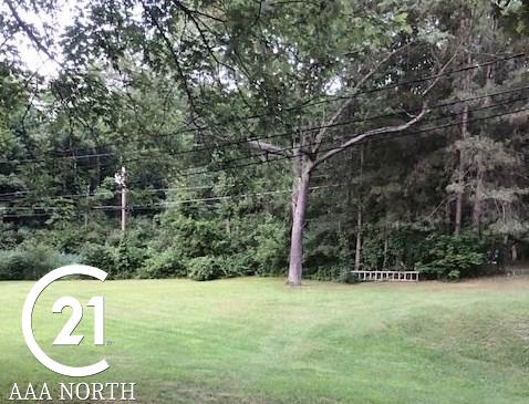 335 East Wise Road Commerce Township, MI 48382 - Photo 10 of 40 Looking at treed area