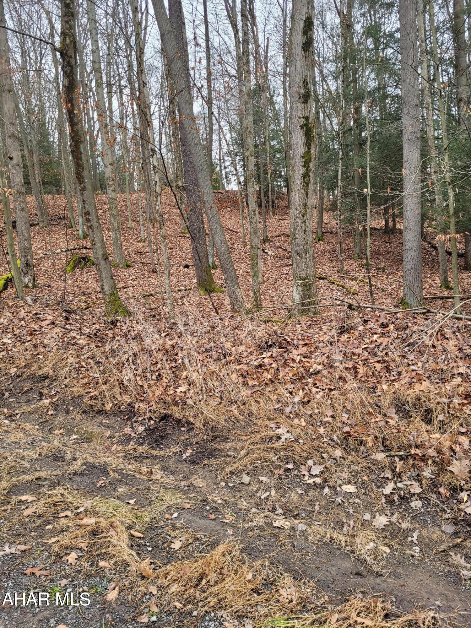 250 Red Oak Road Flinton, PA 16640 - Photo 2 of 3
