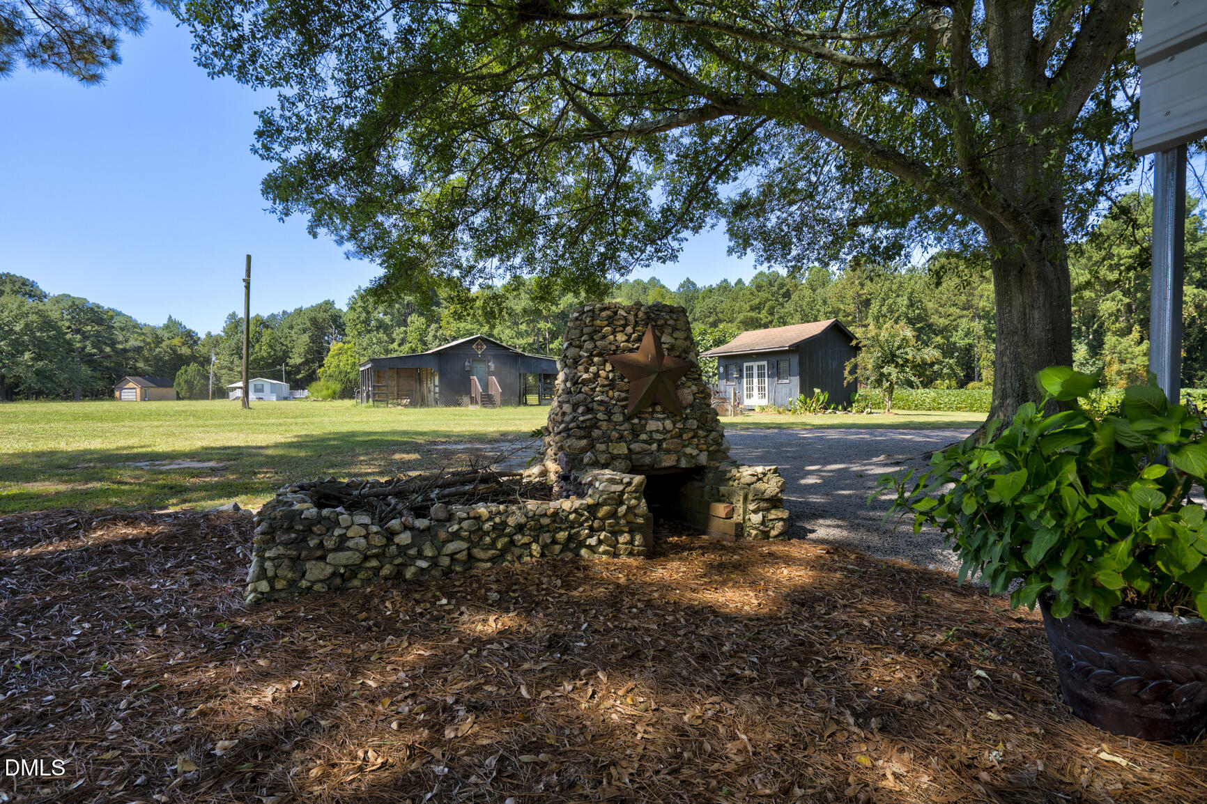 6515 Tonya Road Elm City, NC 27822 - Photo 23 of 52 a view of a yard with plants and large trees