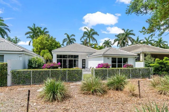 a view of a garden with a tree