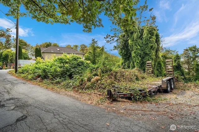 a view of a yard with plants and a bench