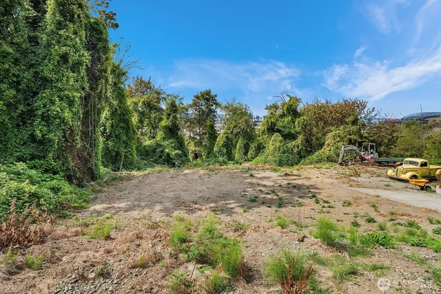 a view of a yard with a tree