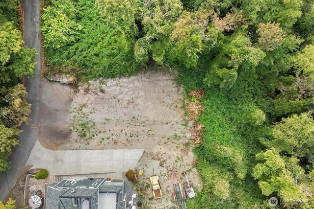 a view of a tree with a yard
