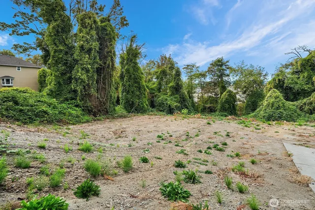 a view of a yard with plants and trees