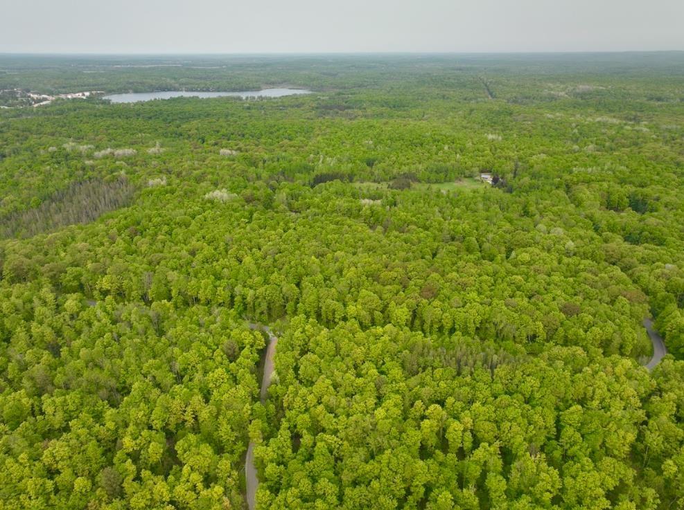 0 Buettner Road White Lake, WI 54491 - Photo 4 of 10 Gallery Image 4