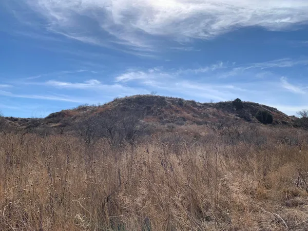 $110,000 | 0 Lion Road, Boys Ranch, TX 79010