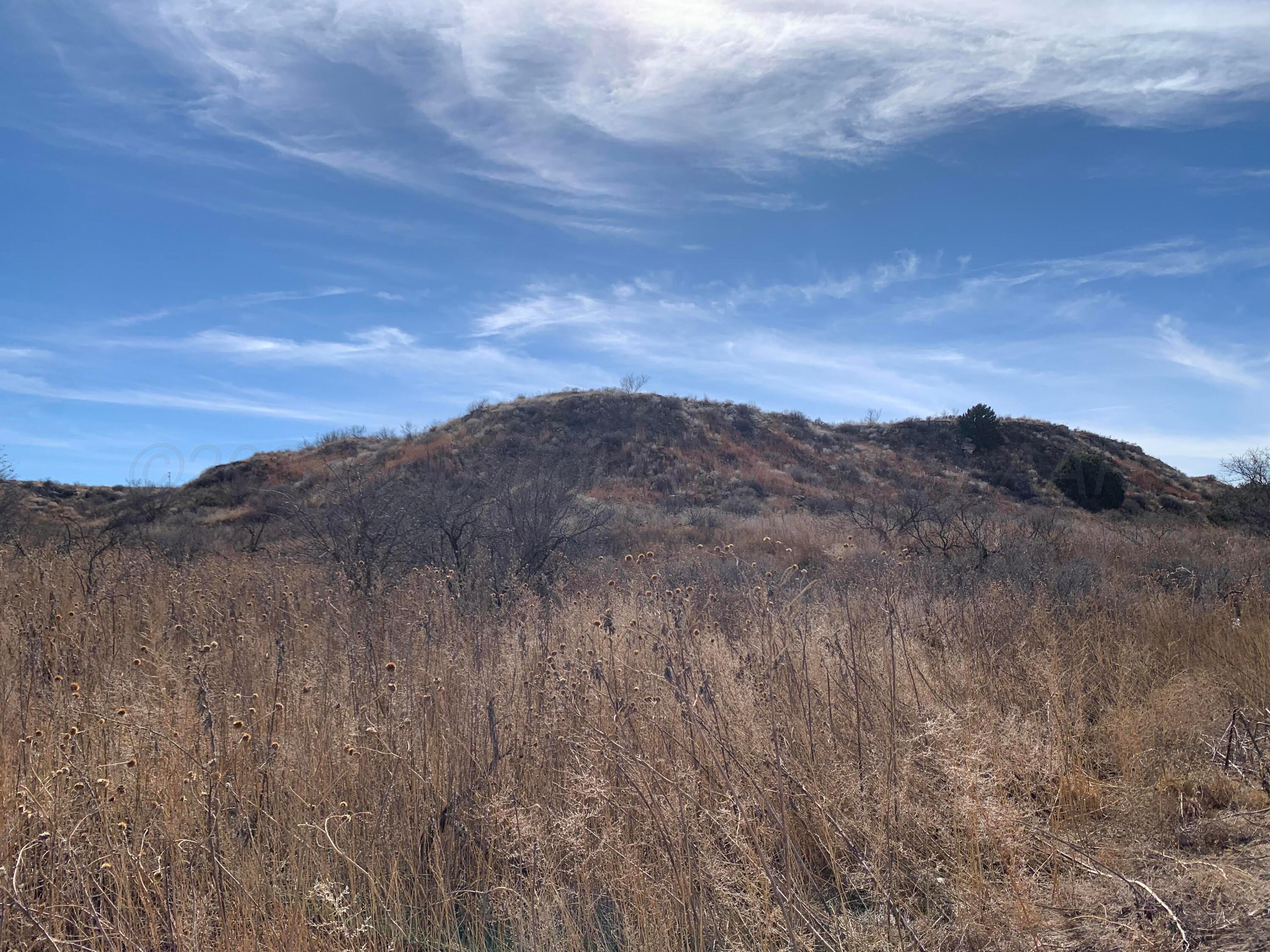 0 Lion Road Boys Ranch, TX 79010 - Photo 12 of 12