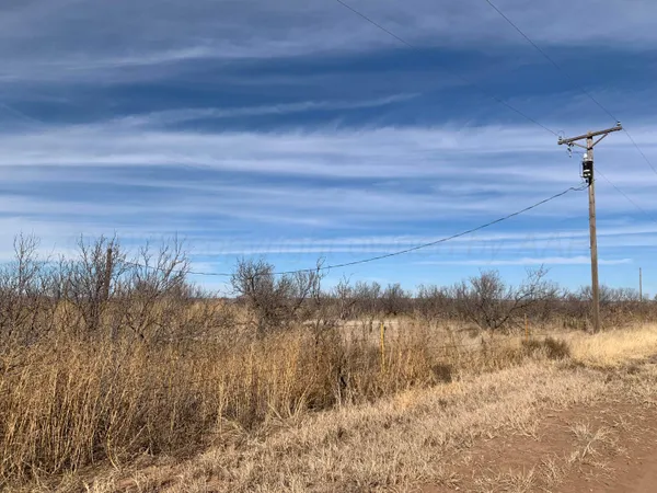 a view of a dry yard with trees