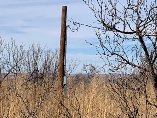 a view of a dry yard