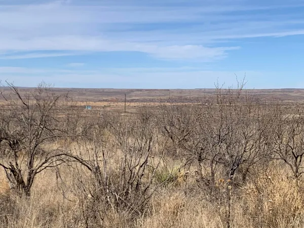 a view of a dry field
