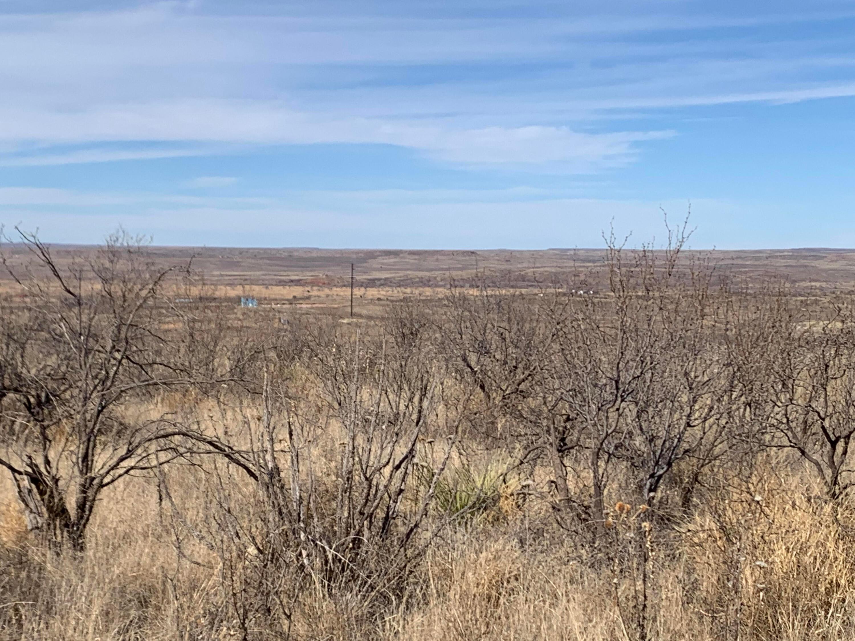 0 Lion Road Boys Ranch, TX 79010 - Photo 5 of 12