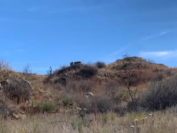 a view of a dry field