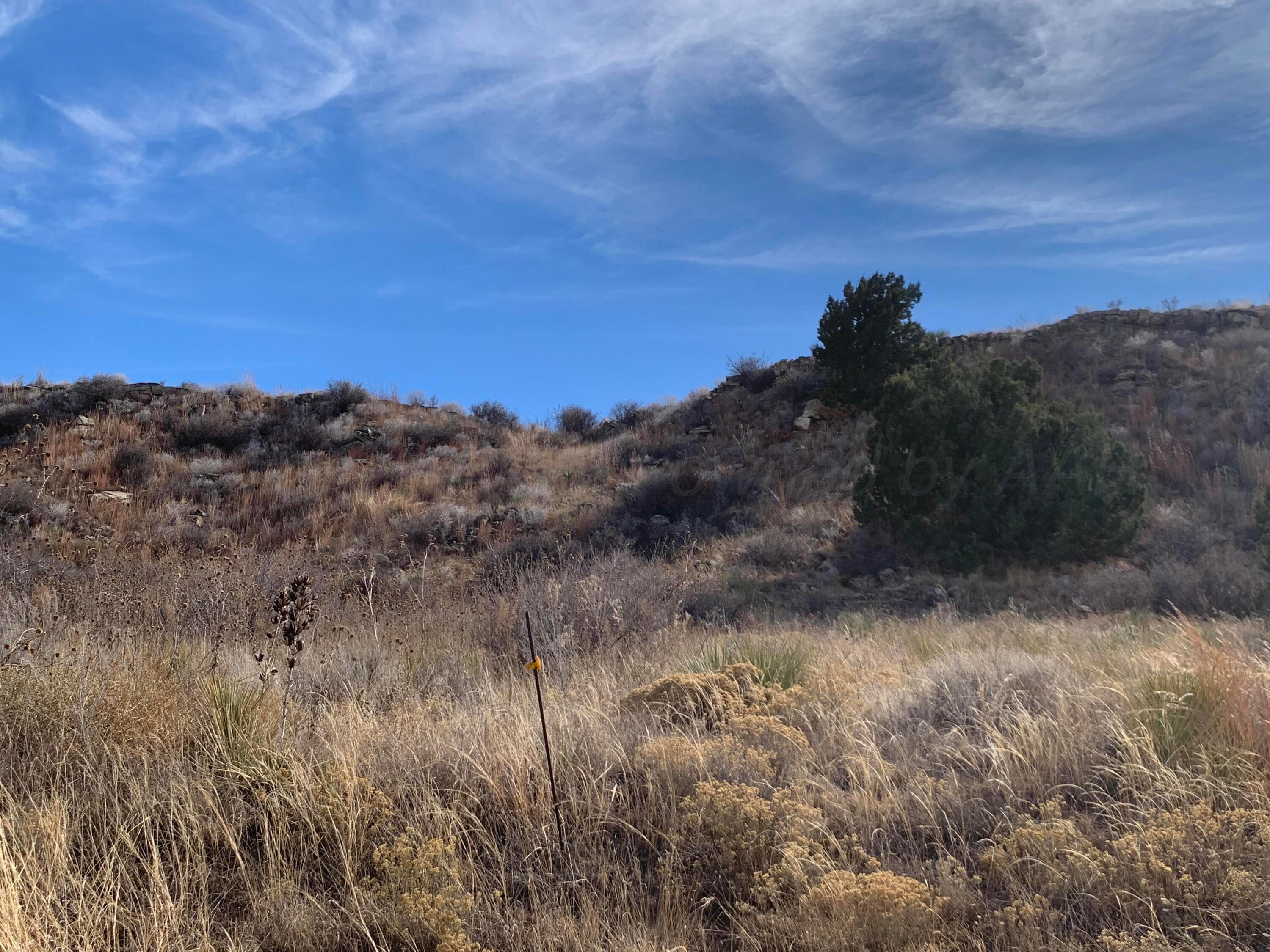 0 Lion Road Boys Ranch, TX 79010 - Photo 8 of 12