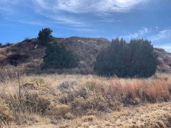 $110,000 | 0 Lion Road, Boys Ranch, TX 79010