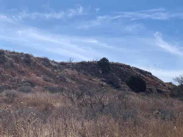 $110,000 | 0 Lion Road, Boys Ranch, TX 79010