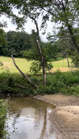 $1,250,000 | 65 Owenby Road, Candler, NC 28715