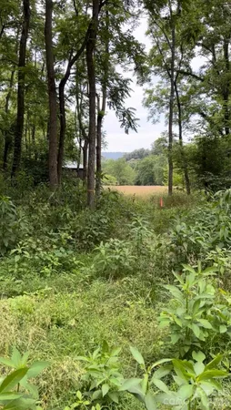 $1,250,000 | 65 Owenby Road, Candler, NC 28715