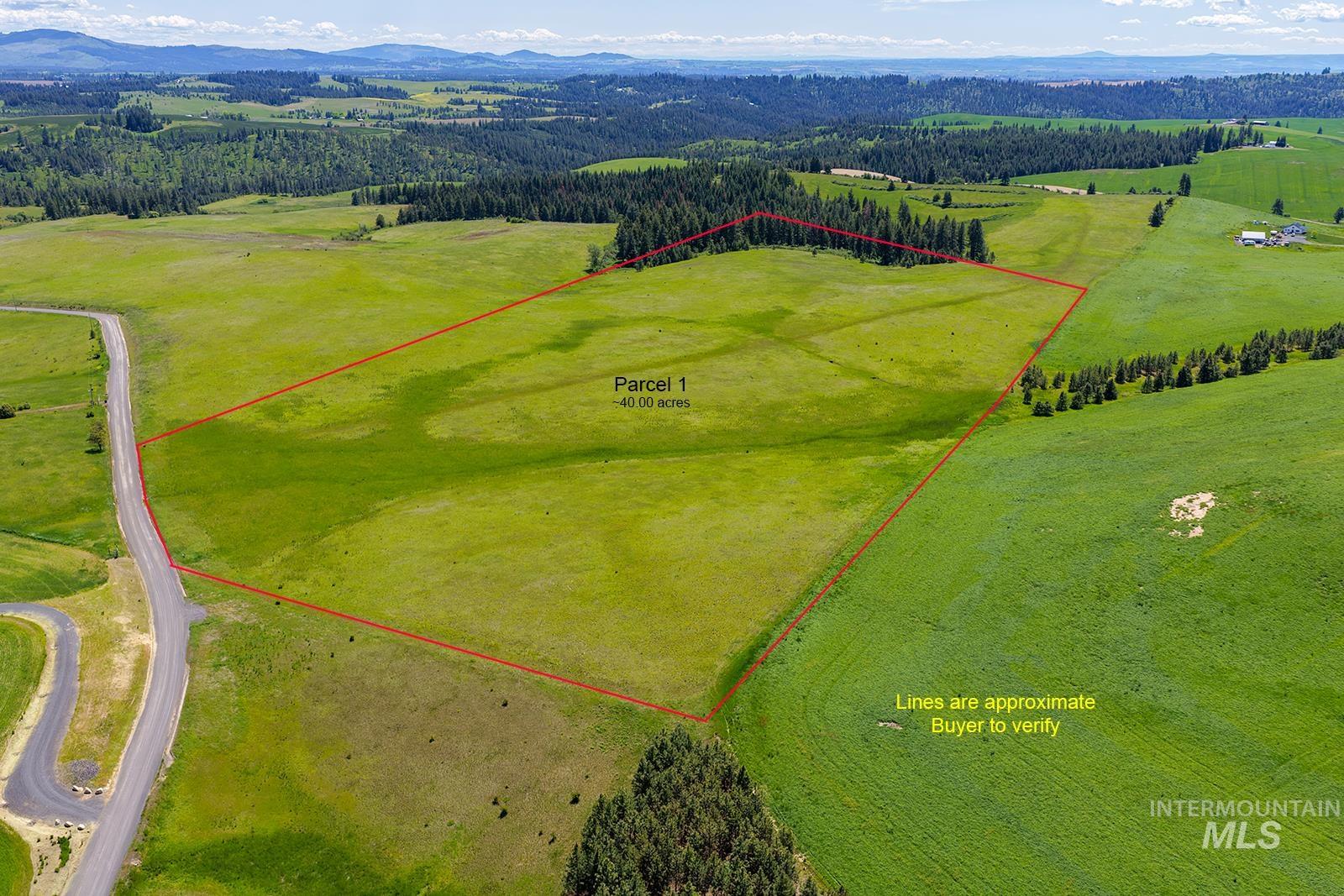 Tbd Tbd Johnson Road, Unit 1 Deary, ID 83823 - Photo 5 of 18