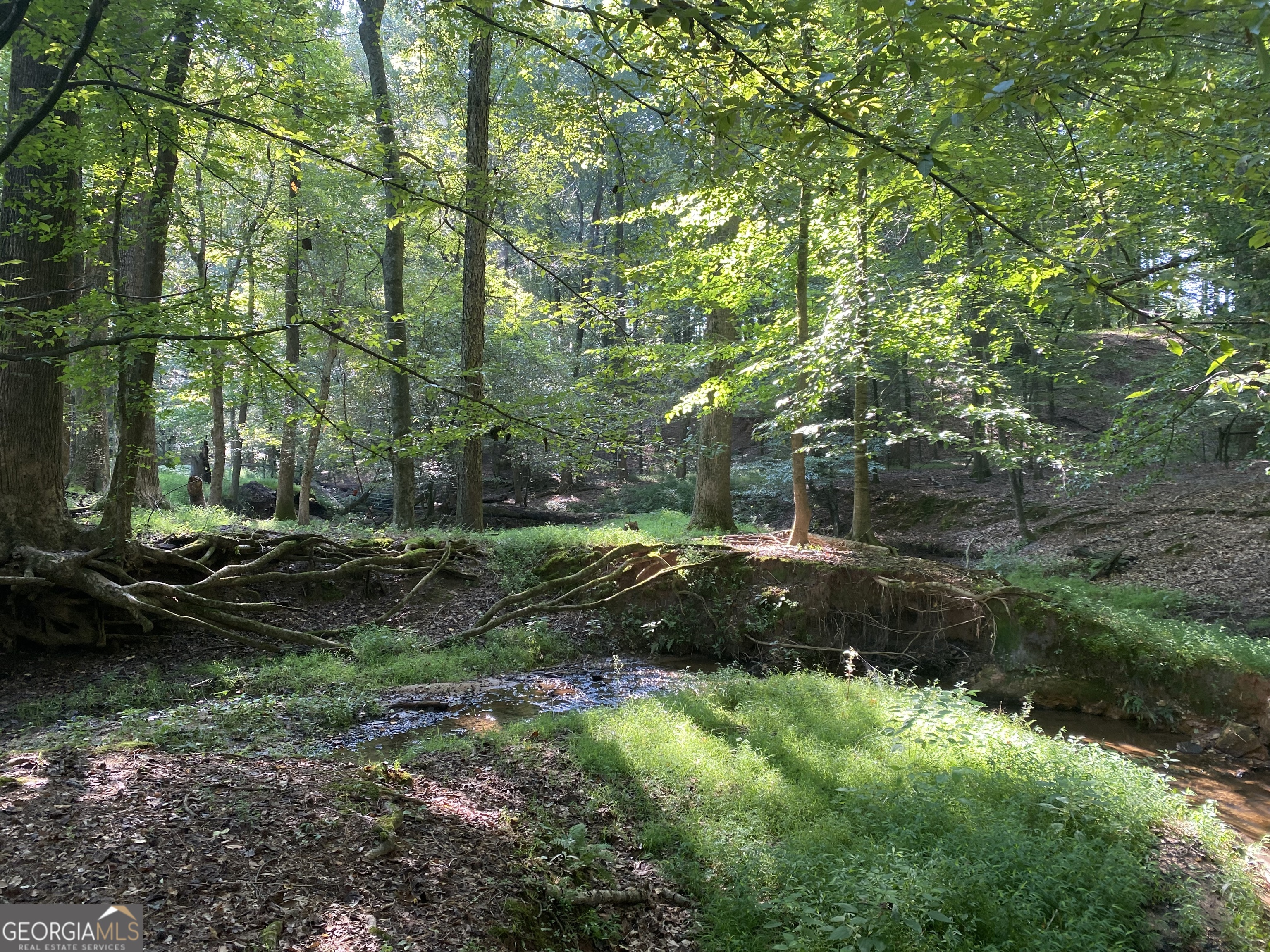 2223 Salem Road Watkinsville, GA 30677 - Photo 4 of 63