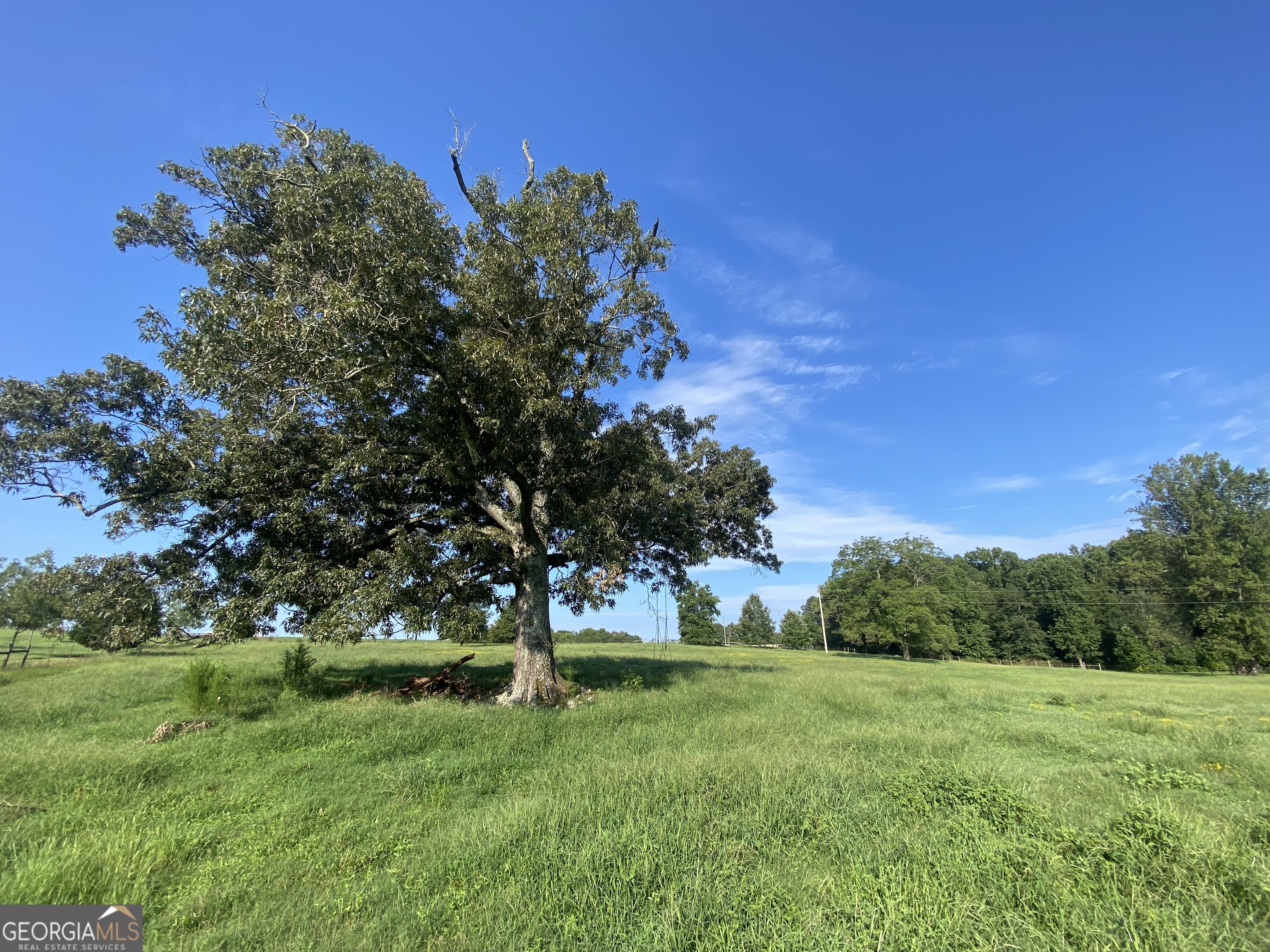 2223 Salem Road Watkinsville, GA 30677 - Photo 50 of 63 a view of green field with trees in the background