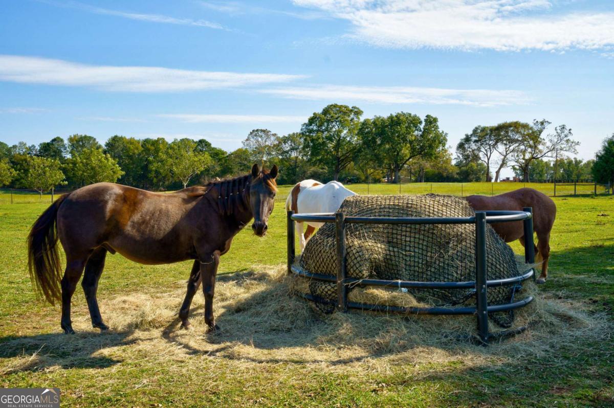2223 Salem Road Watkinsville, GA 30677 - Photo 7 of 63 a view of an outdoor sitting area with furniture