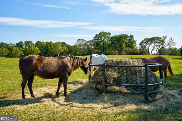 a view of a swimming pool with an outdoor space