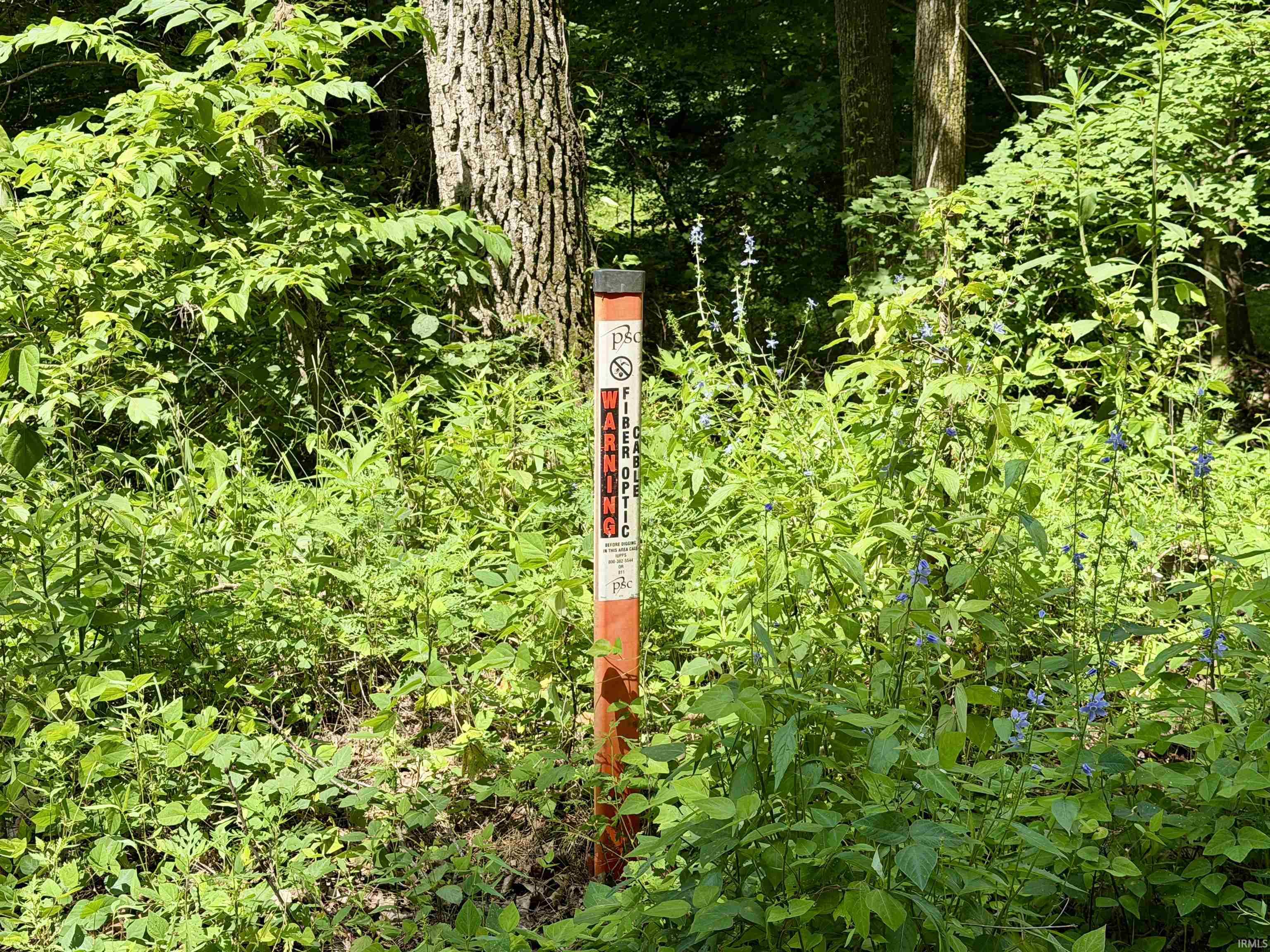 Off Candlestick Road Bristow, IN 47515 - Photo 27 of 30