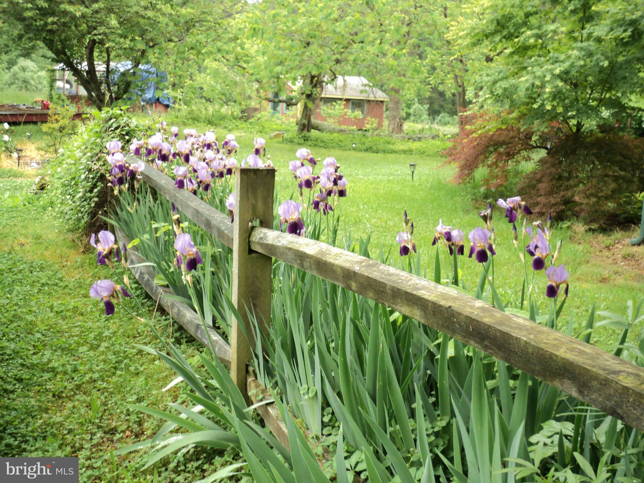4309 Lewiston Road Bumpass, VA 23024 - Photo 7 of 50 Beautiful gardens all around