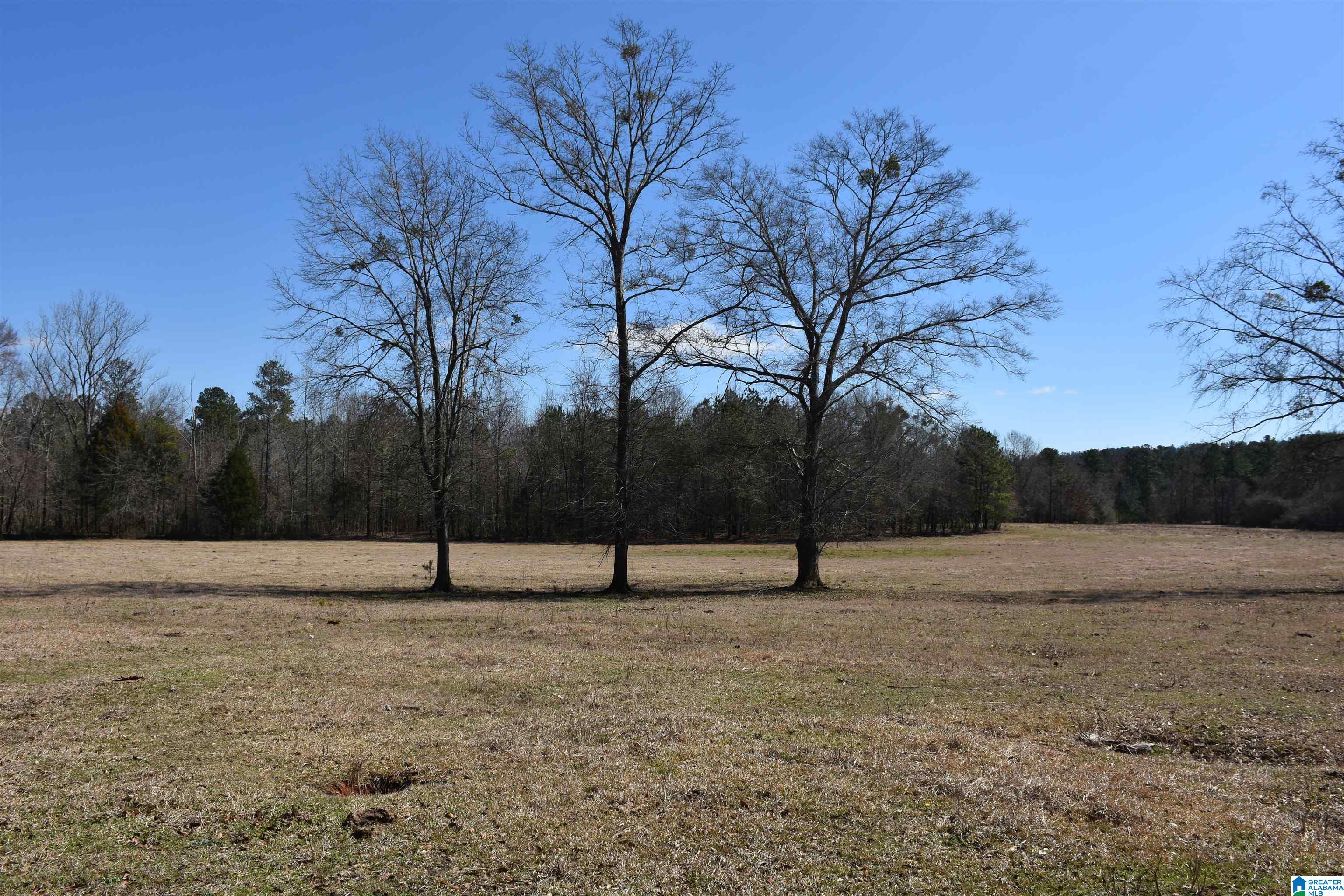 2003 New Maryland Road Alpine, AL 35014 - Photo 5 of 38