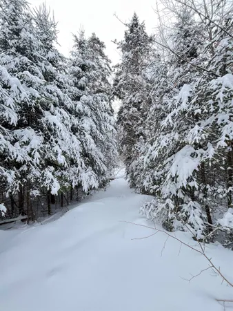 $130,000 | 1606 Town Farm Road, Sheffield, VT 05851