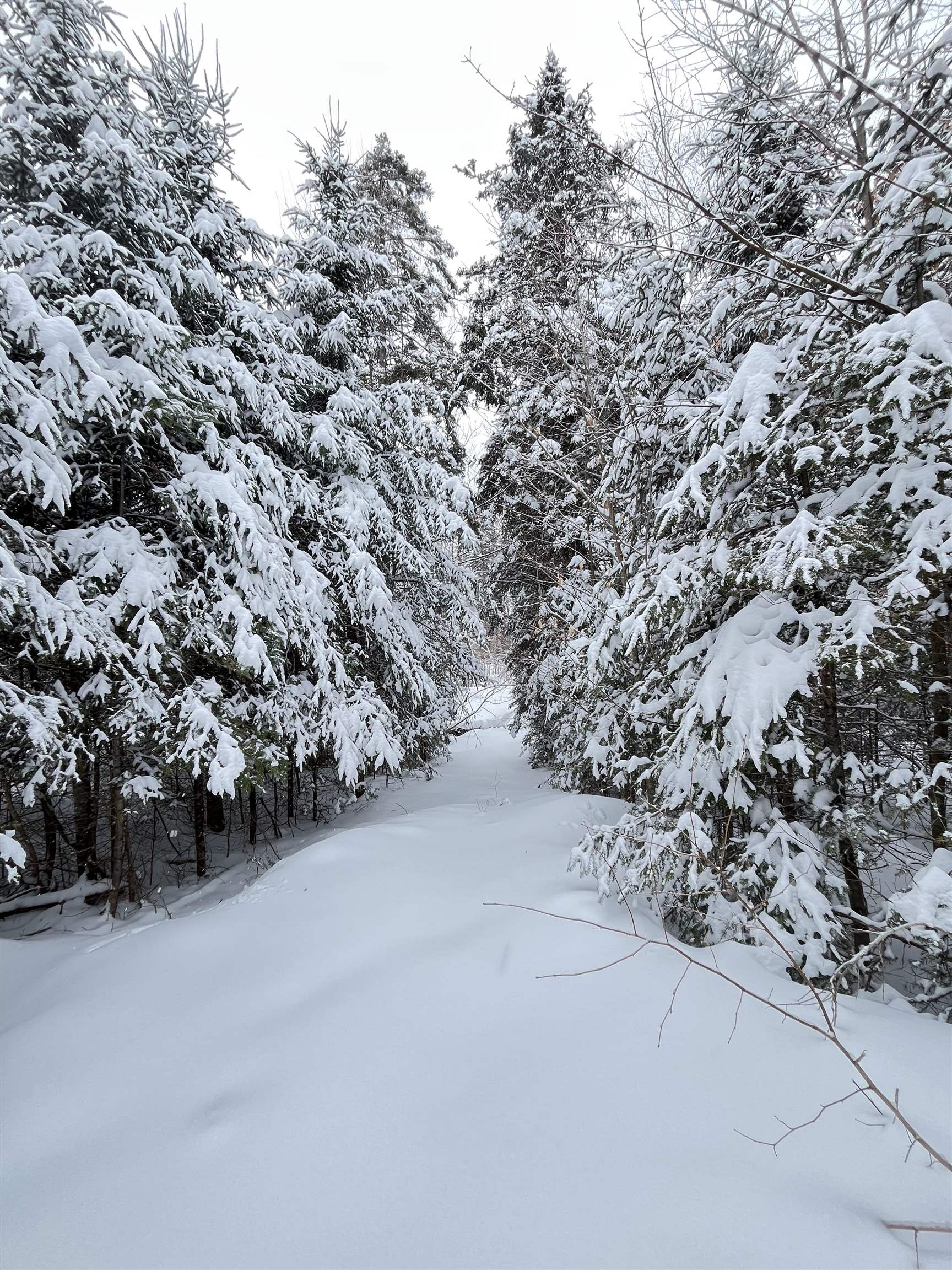 1606 Town Farm Road Sheffield, VT 05851 - Photo 11 of 49