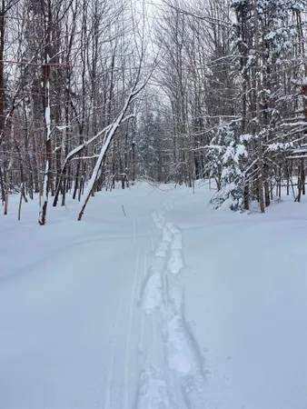 $130,000 | 1606 Town Farm Road, Sheffield, VT 05851