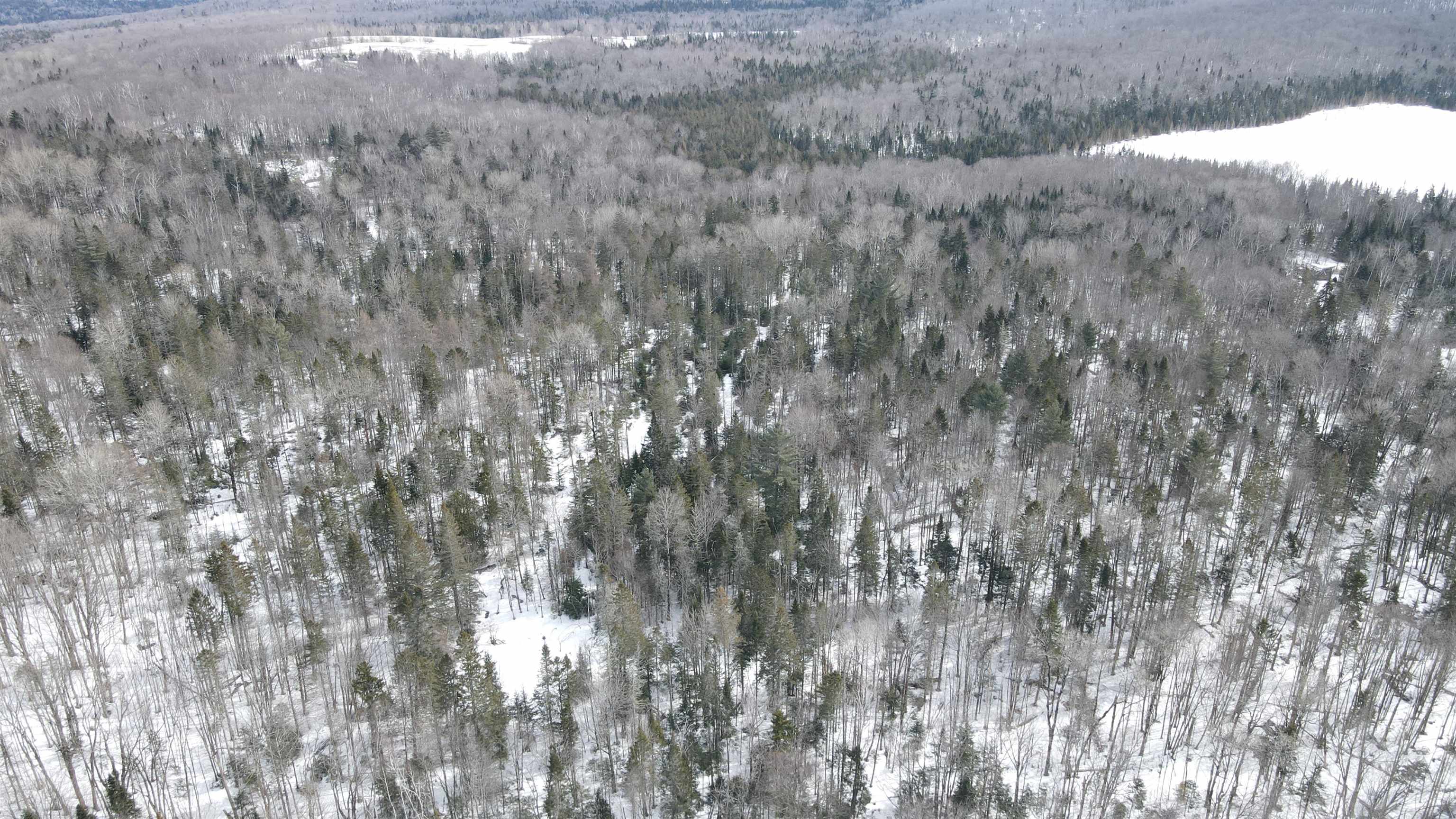 1606 Town Farm Road Sheffield, VT 05851 - Photo 16 of 49