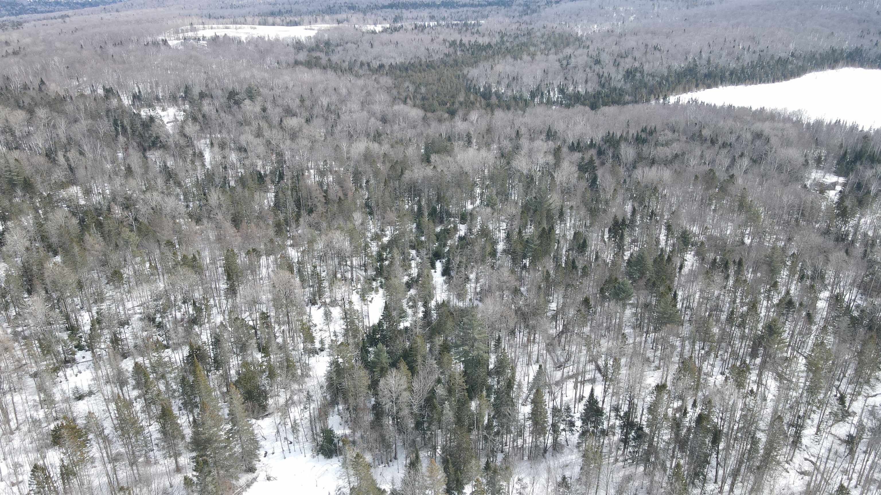 1606 Town Farm Road Sheffield, VT 05851 - Photo 17 of 49