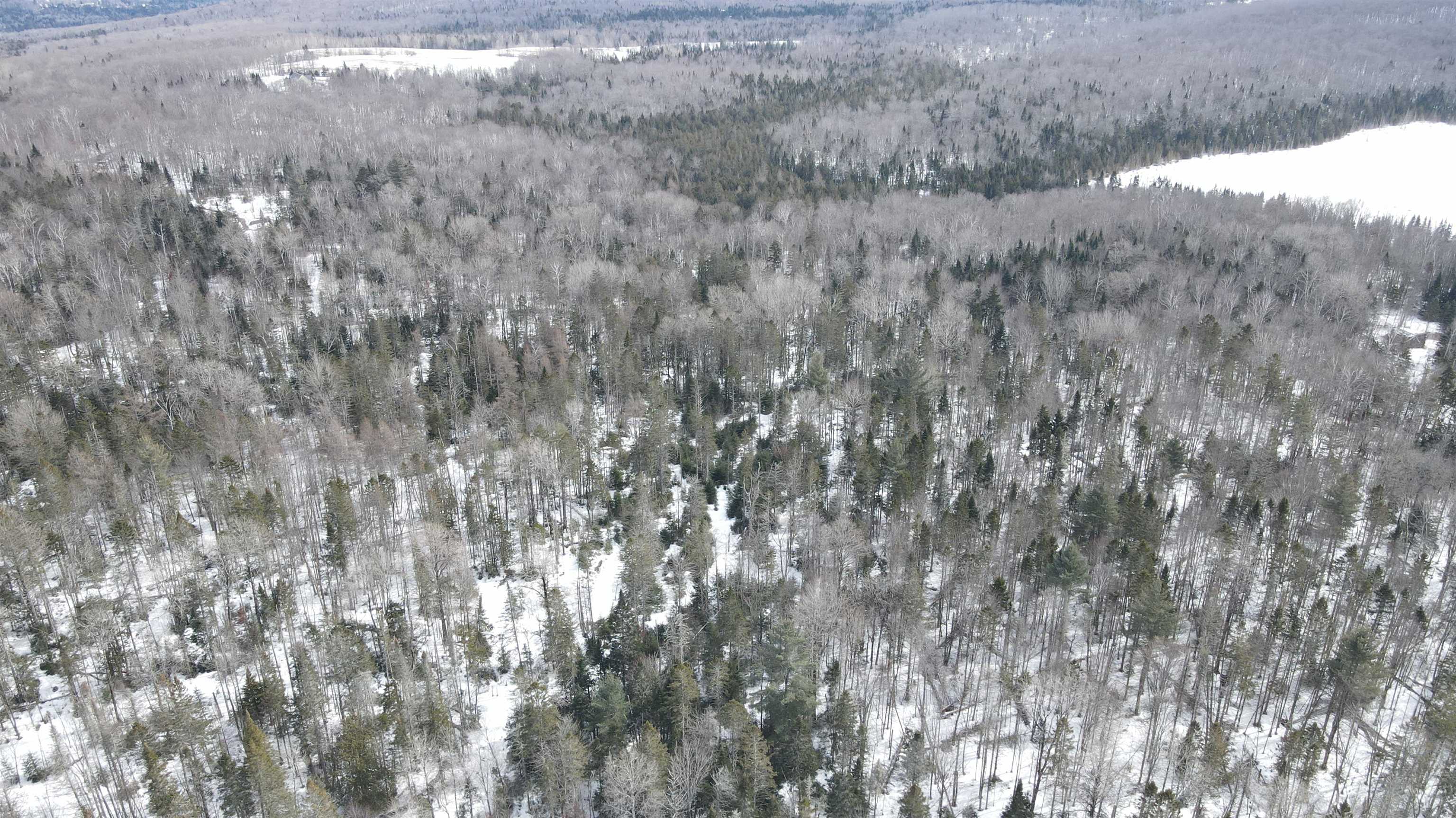 1606 Town Farm Road Sheffield, VT 05851 - Photo 18 of 49