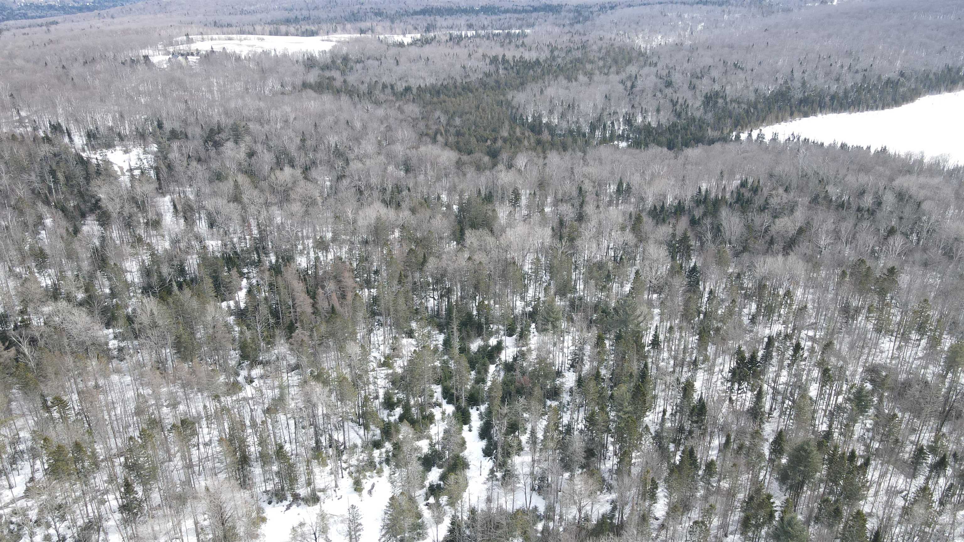 1606 Town Farm Road Sheffield, VT 05851 - Photo 20 of 49