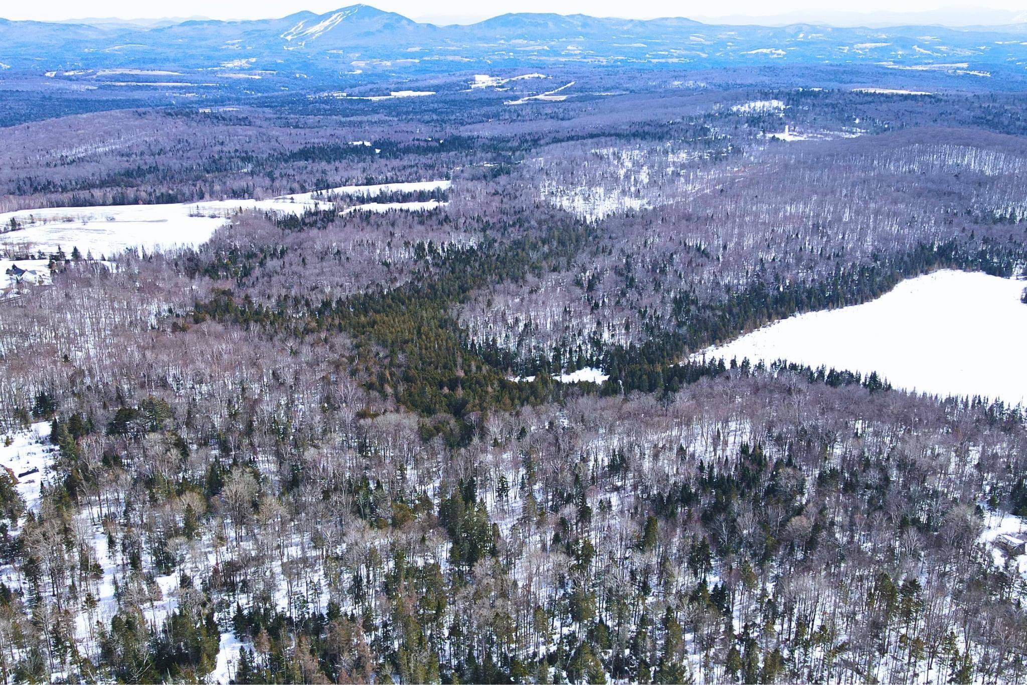 1606 Town Farm Road Sheffield, VT 05851 - Photo 2 of 49