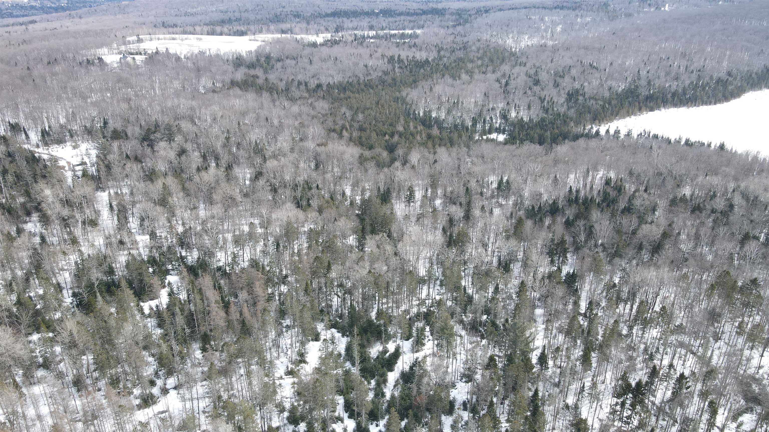 1606 Town Farm Road Sheffield, VT 05851 - Photo 21 of 49