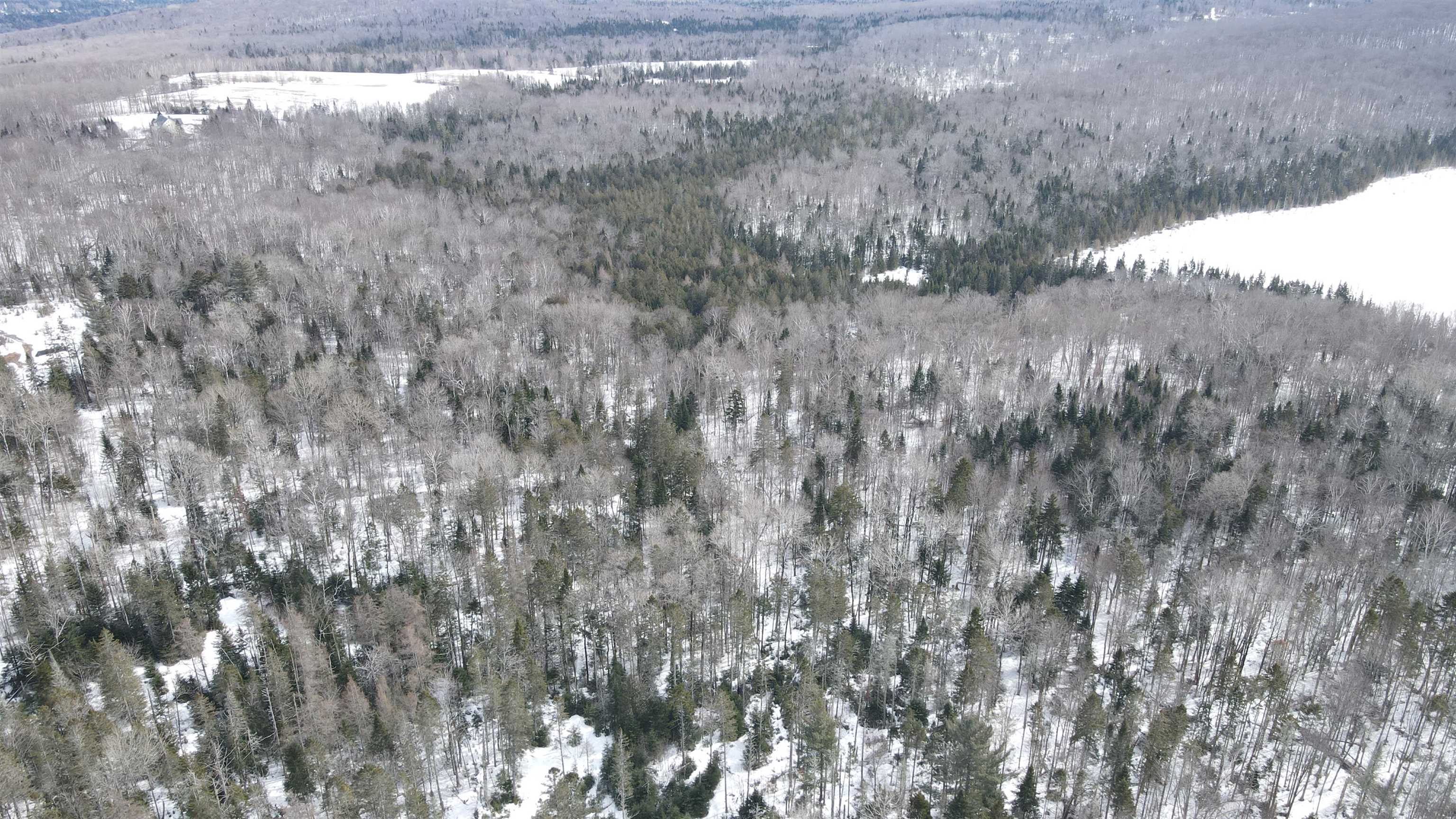 1606 Town Farm Road Sheffield, VT 05851 - Photo 22 of 49