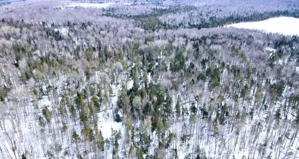 $130,000 | 1606 Town Farm Road, Sheffield, VT 05851