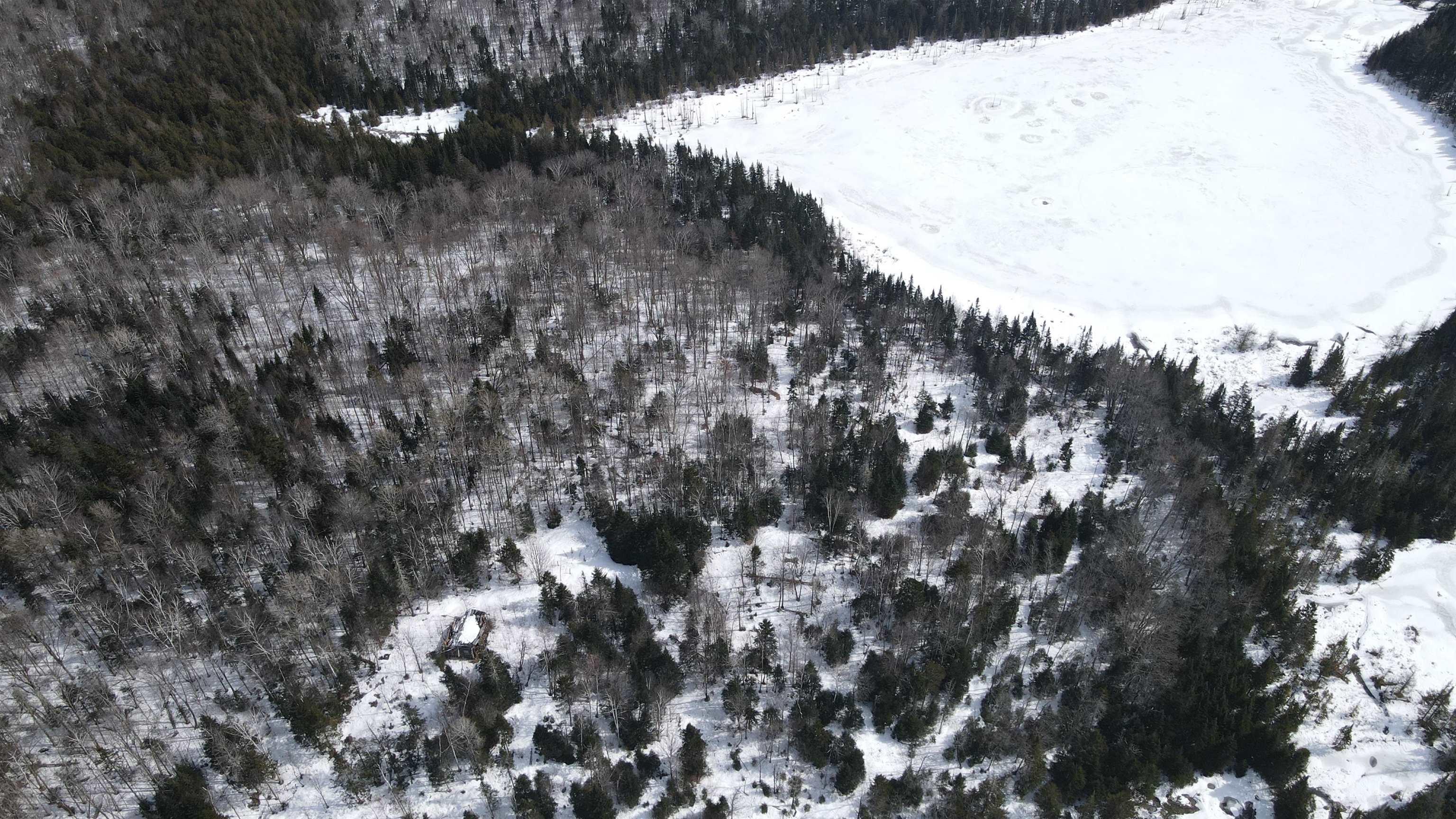 1606 Town Farm Road Sheffield, VT 05851 - Photo 32 of 49