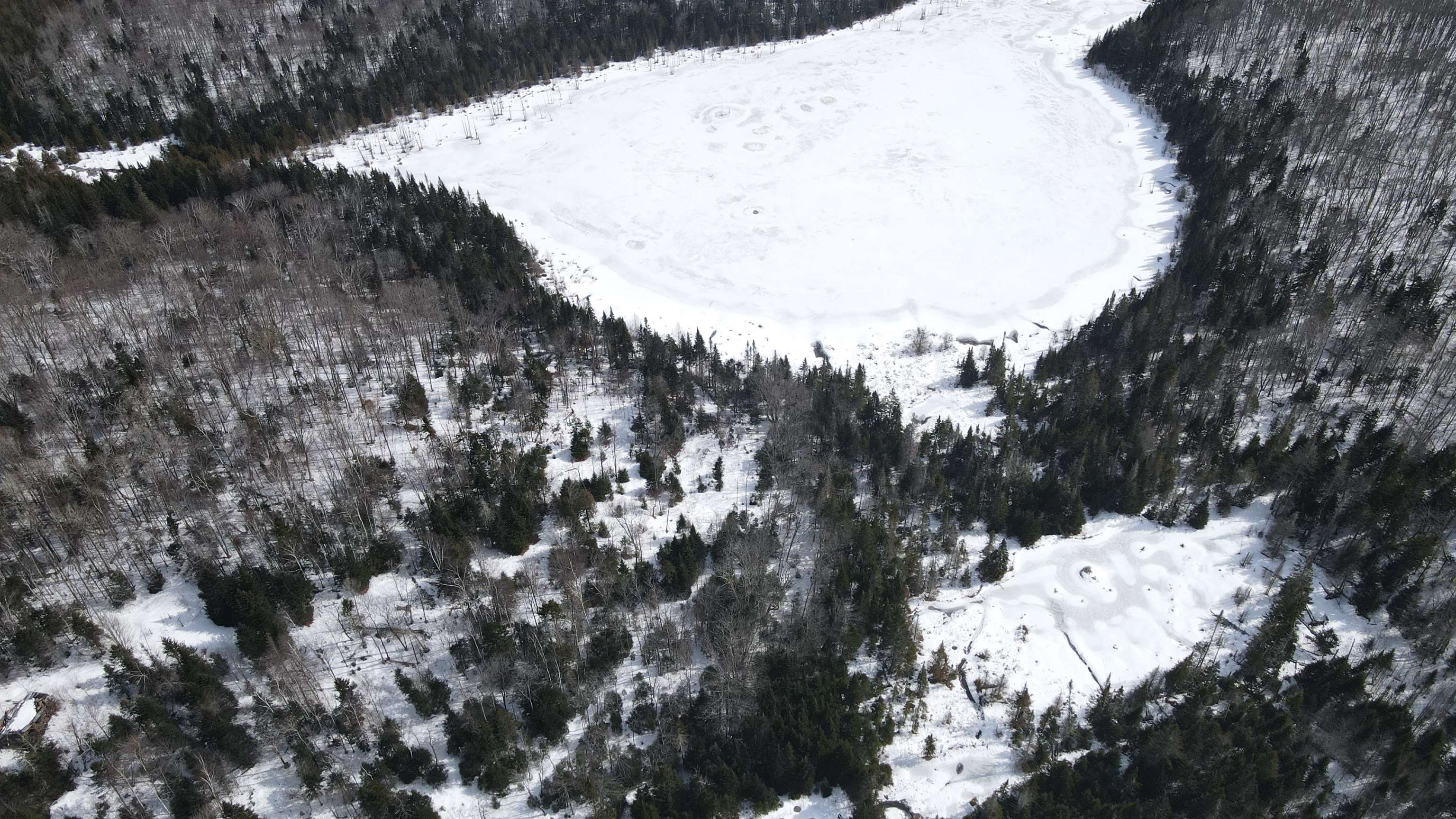 1606 Town Farm Road Sheffield, VT 05851 - Photo 33 of 49