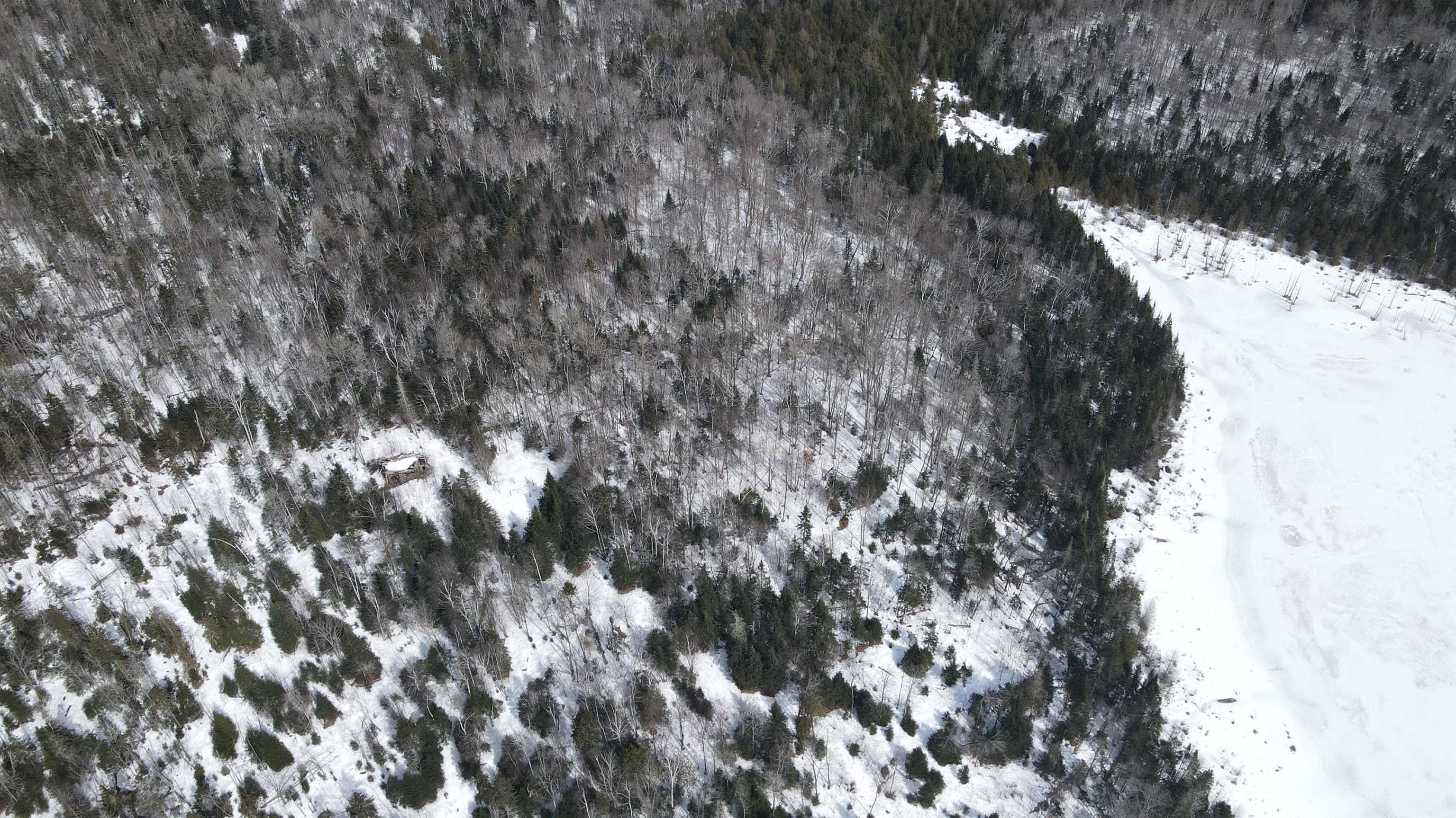 1606 Town Farm Road Sheffield, VT 05851 - Photo 34 of 49