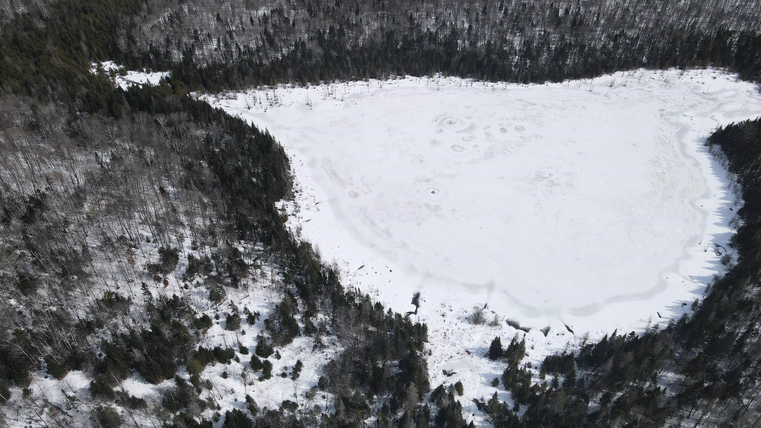 1606 Town Farm Road Sheffield, VT 05851 - Photo 37 of 49