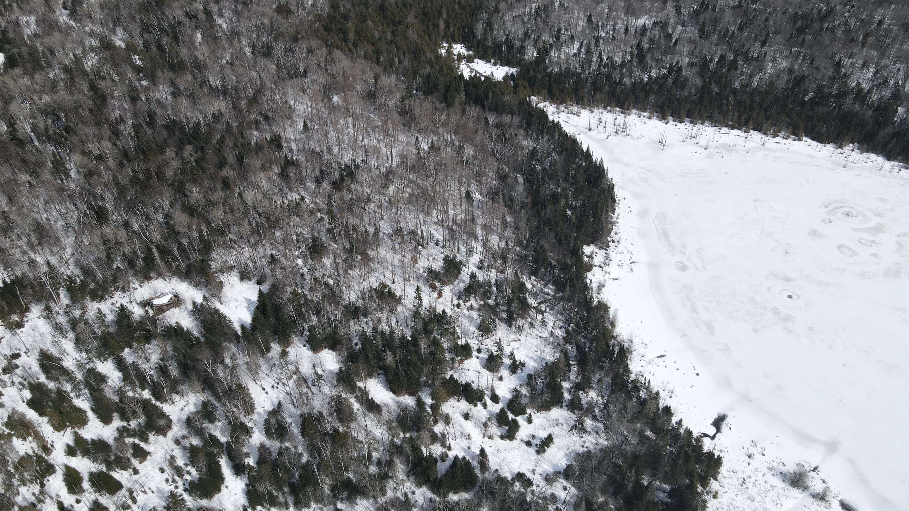 1606 Town Farm Road Sheffield, VT 05851 - Photo 38 of 49