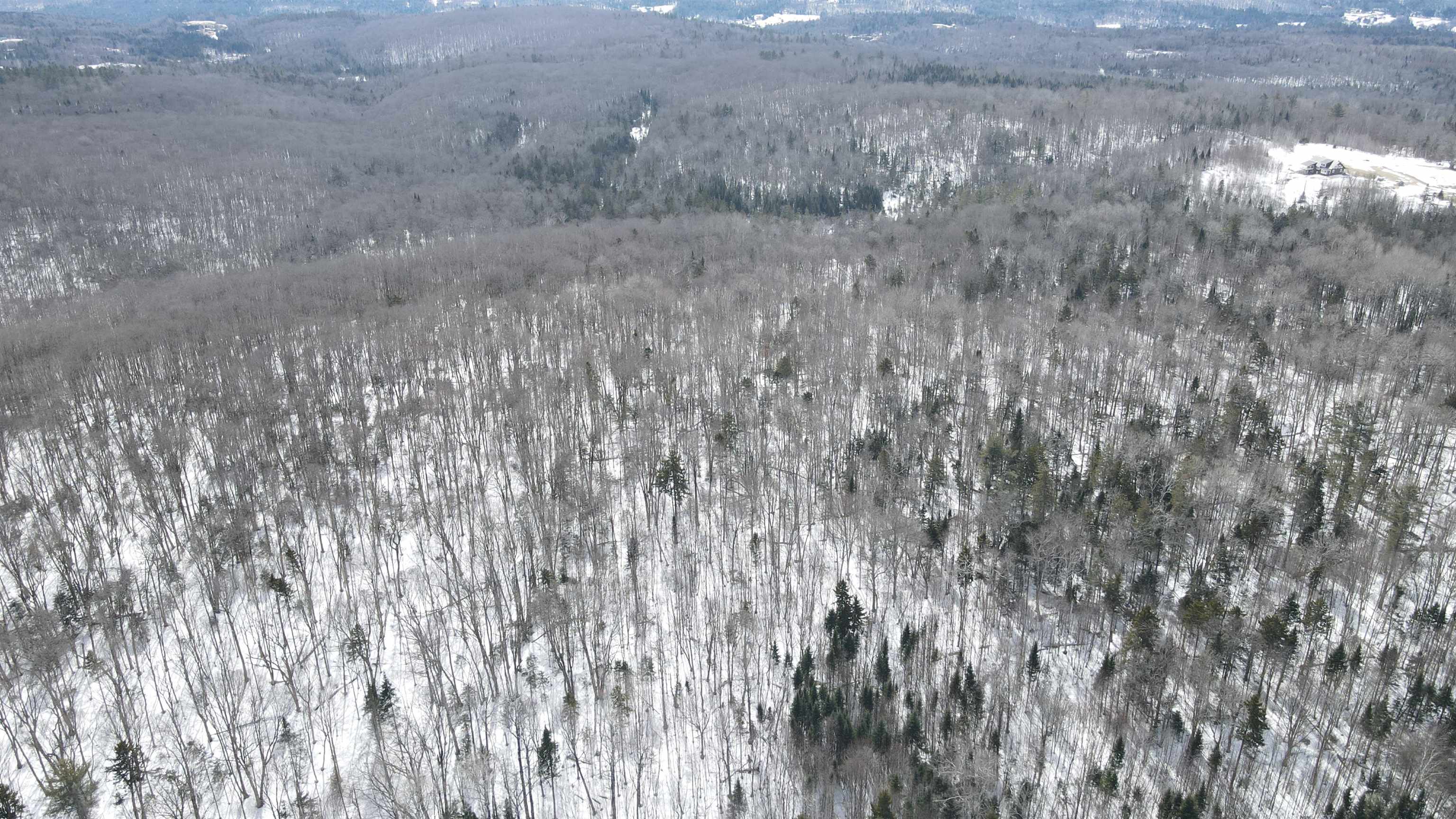 1606 Town Farm Road Sheffield, VT 05851 - Photo 39 of 49