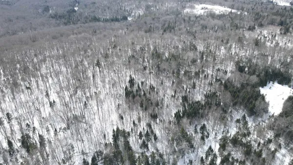 $130,000 | 1606 Town Farm Road, Sheffield, VT 05851