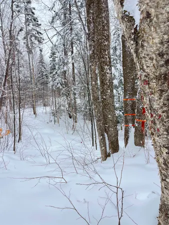 $130,000 | 1606 Town Farm Road, Sheffield, VT 05851