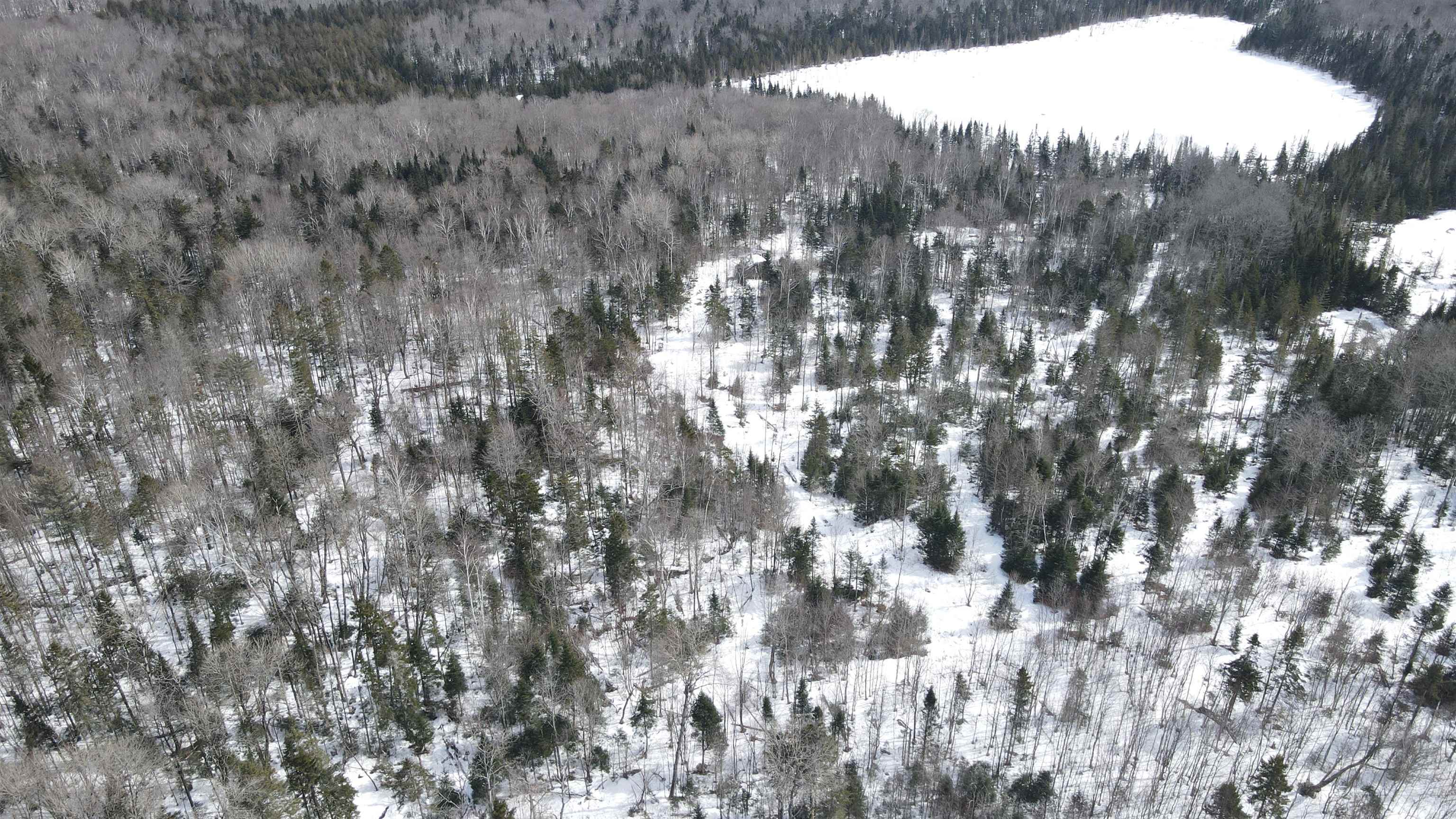 1606 Town Farm Road Sheffield, VT 05851 - Photo 44 of 49