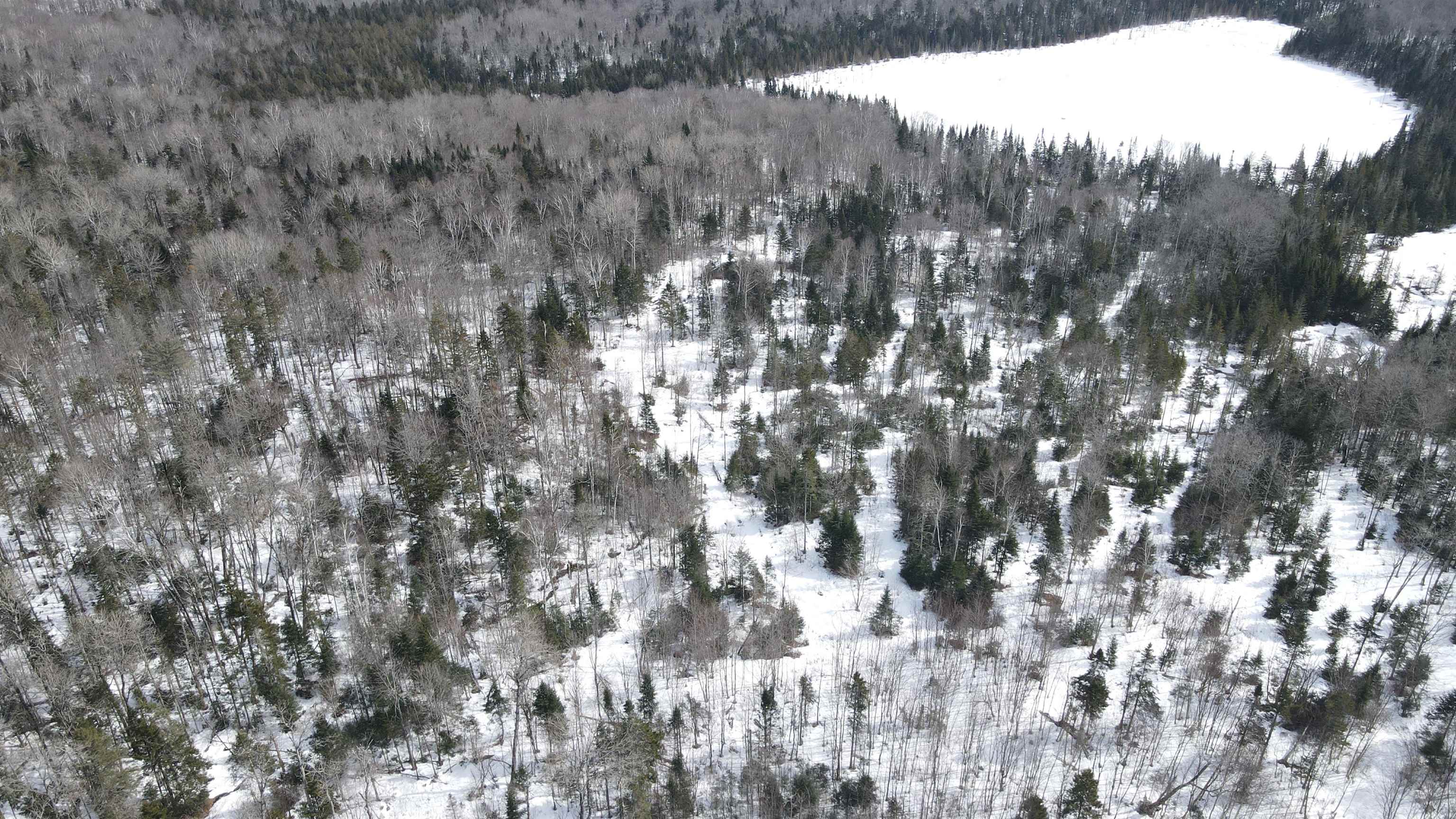 1606 Town Farm Road Sheffield, VT 05851 - Photo 45 of 49